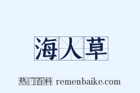 海人草是什么意思的图片